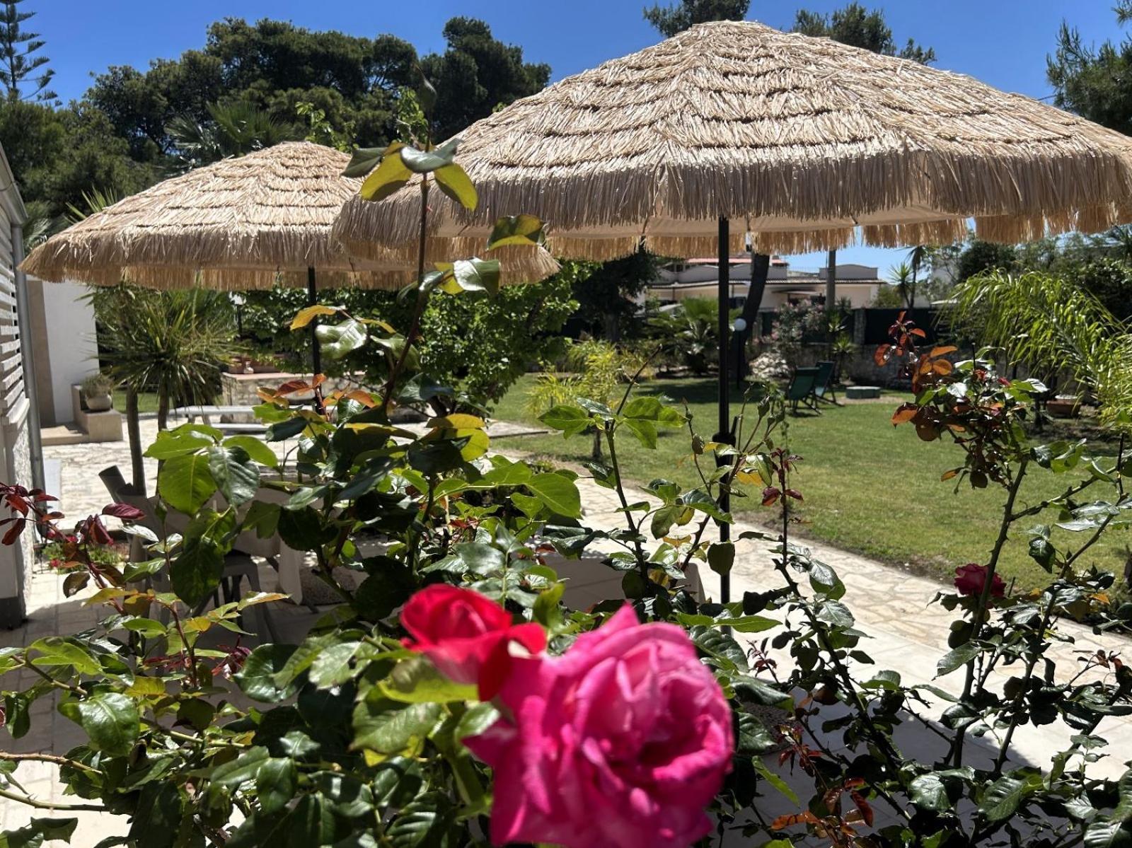 Villa Soleanna Residence Vieste Exterior foto
